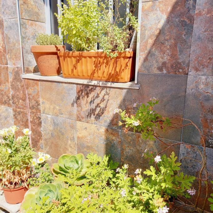 Ferienwohnung Rias Bajas Apartamento Con Jardin Vilanova de Arousa Exterior foto